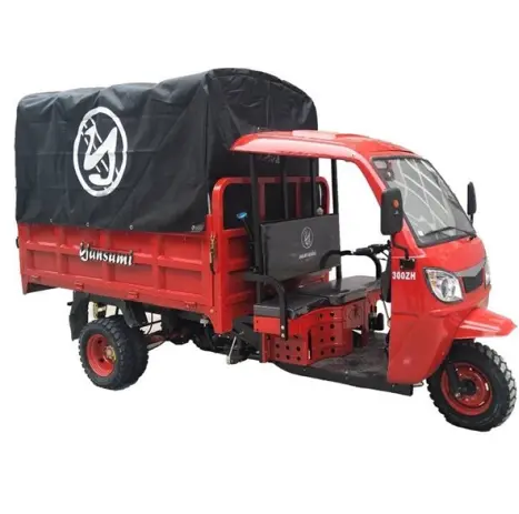 Motocarro con cabina Motocarro con cabina